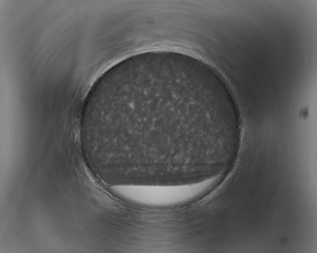 X0000116851505201001051455