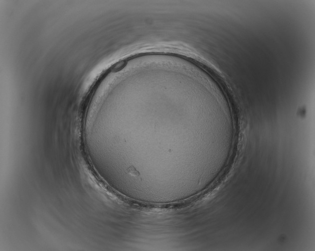 X0000116851506201001051455
