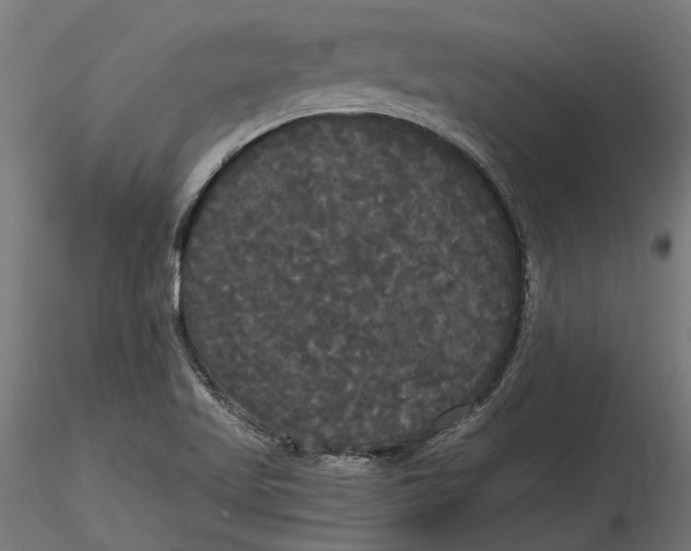 X0000116851509201001051455