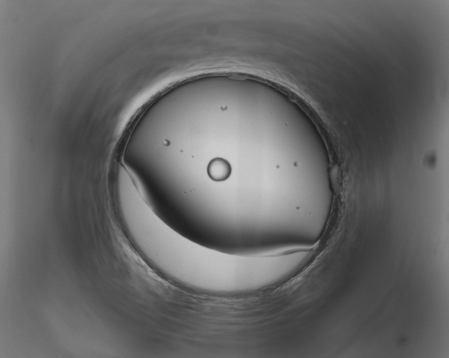 X0000116851510201001051455