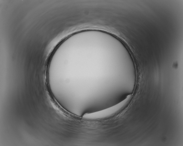X0000116851511201001051455