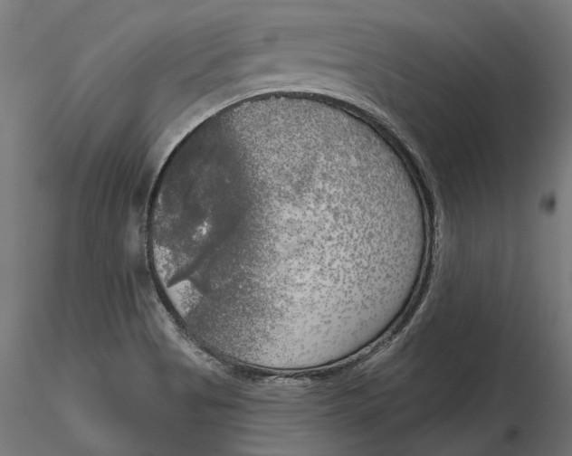 X0000116851513201001051455