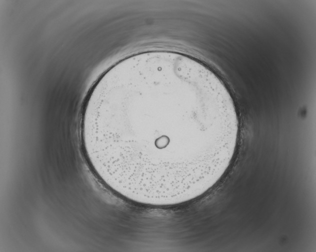 X0000116851514201001051455