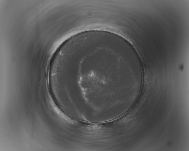 X0000116851515201001051455