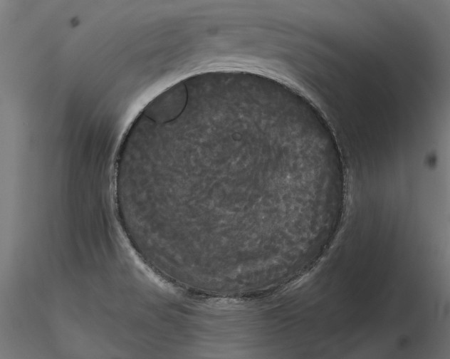 X0000116851517201001051455