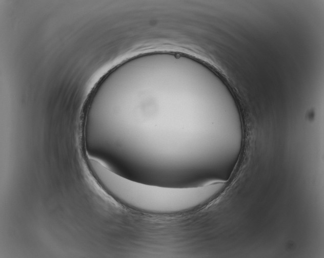 X0000116851518201001051455
