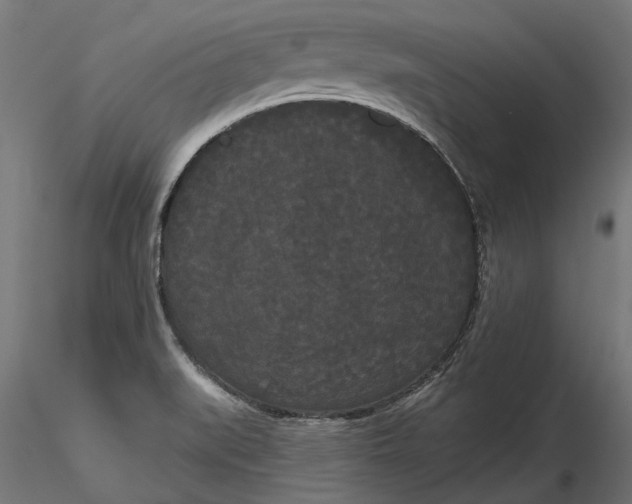 X0000116851519201001051455