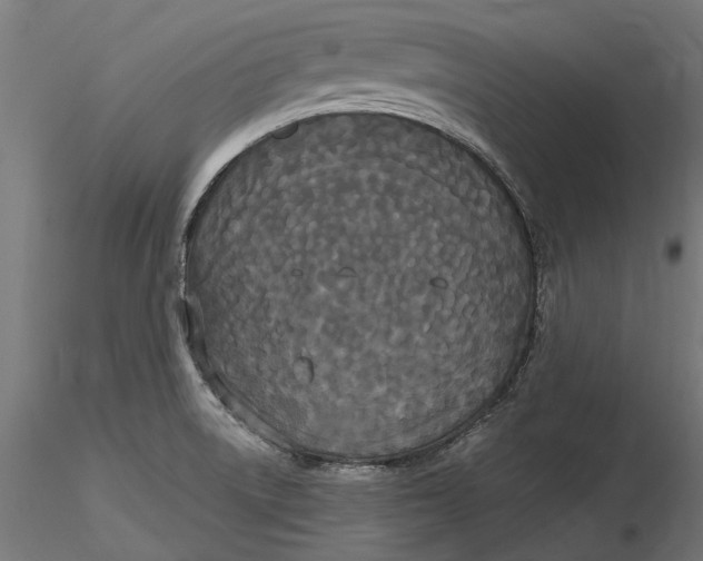 X0000116851522201001051455
