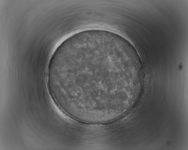 X0000116851523201001051455