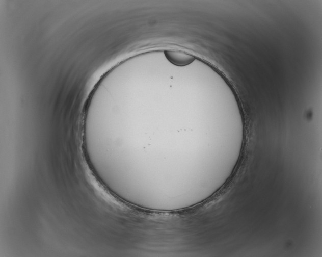 X0000116851526201001051455
