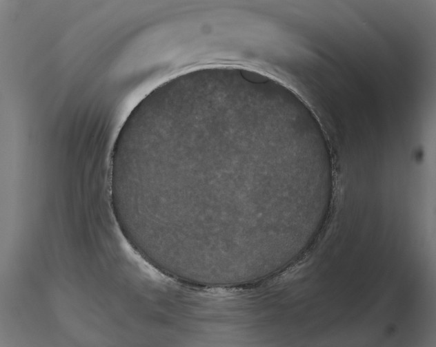 X0000116851527201001051455