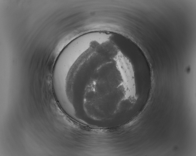 X0000116851529201001051455
