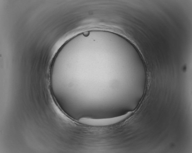 X0000116851531201001051455