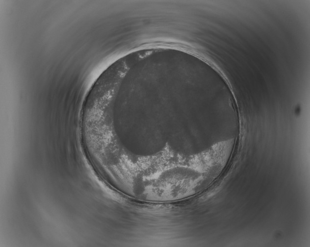X0000116851533201001051455