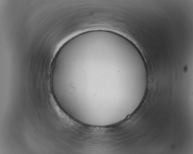 X0000116851534201001051455