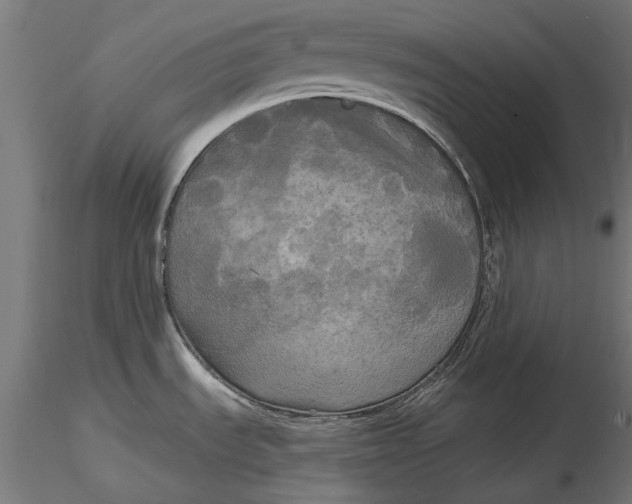 X0000116851535201001051455