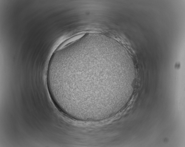 X0000116850003201001121229