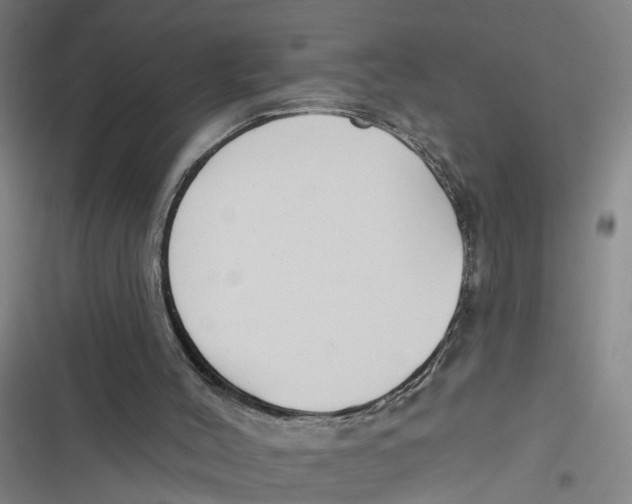 X0000116850004201001121229
