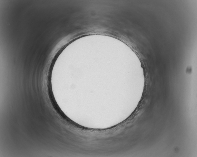 X0000116850007201001121229