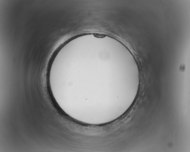 X0000116850008201001121229