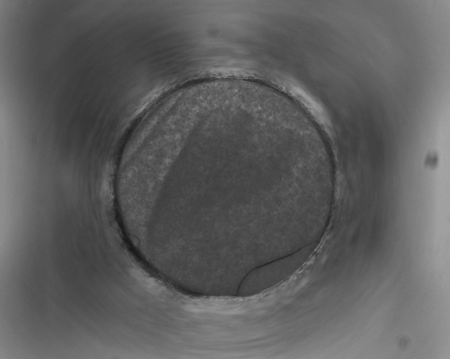 X0000116850009201001121229