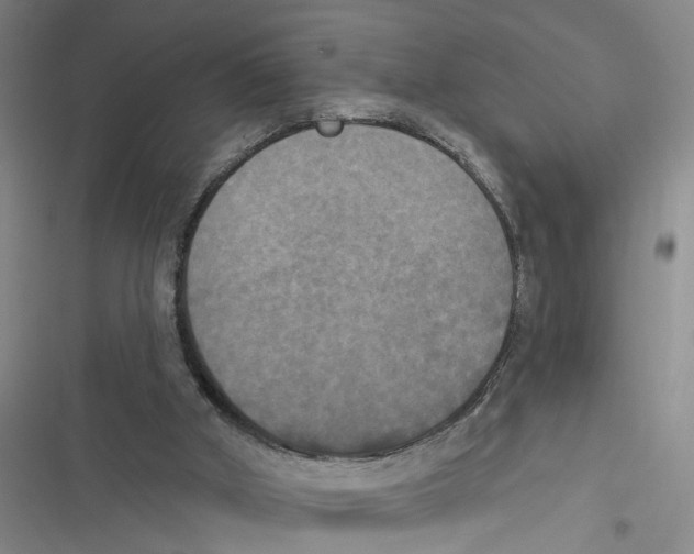 X0000116850010201001121229