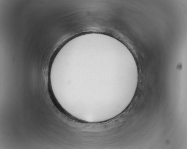 X0000116850011201001121229