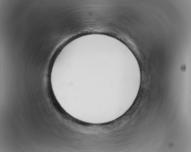 X0000116850012201001121229