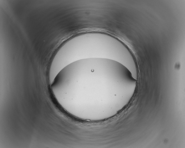 X0000116850013201001121229