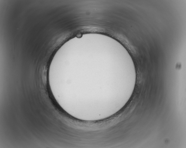 X0000116850014201001121229