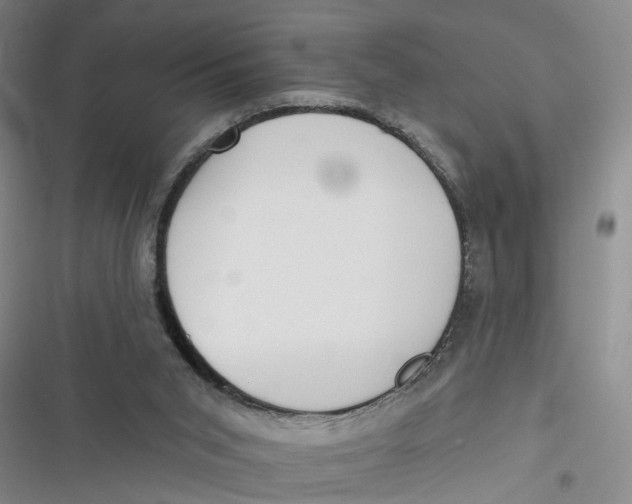 X0000116850015201001121229