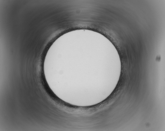 X0000116850016201001121229
