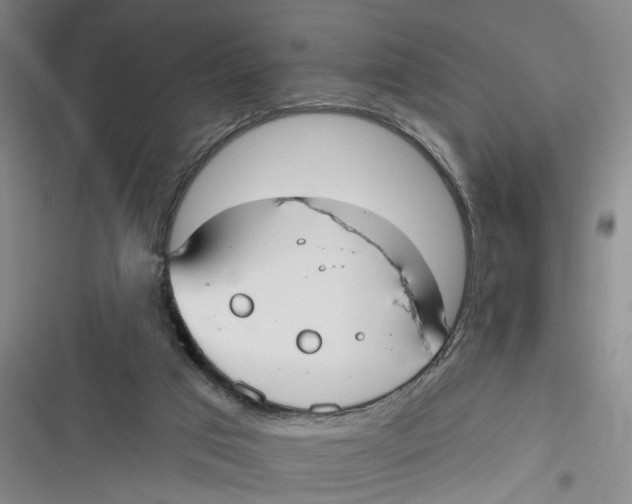 X0000116850017201001121229