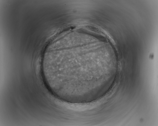 X0000116850018201001121229