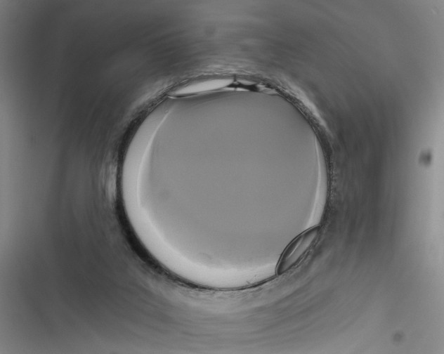 X0000116850019201001121229