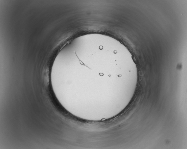 X0000116850020201001121229