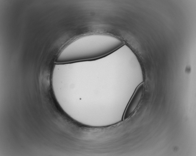 X0000116850021201001121229