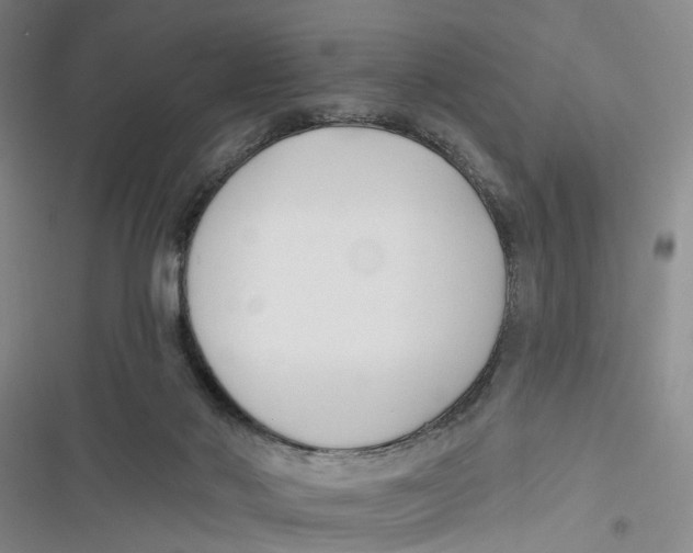X0000116850022201001121229