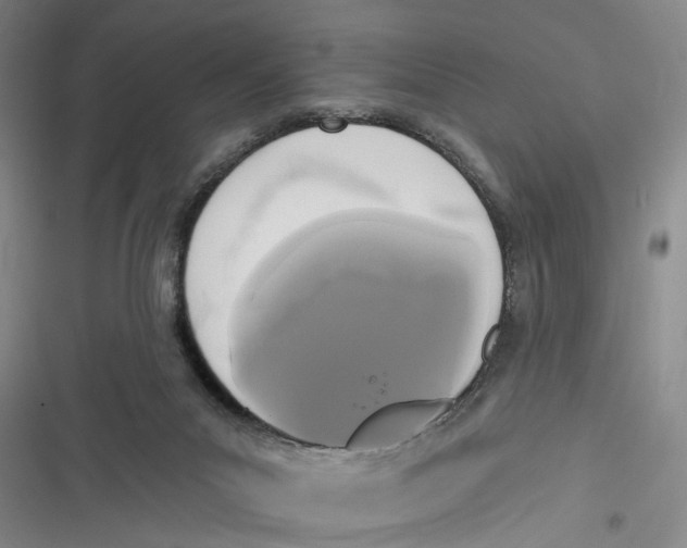 X0000116850023201001121229