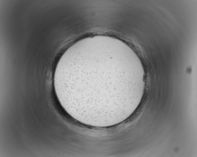 X0000116850024201001121229