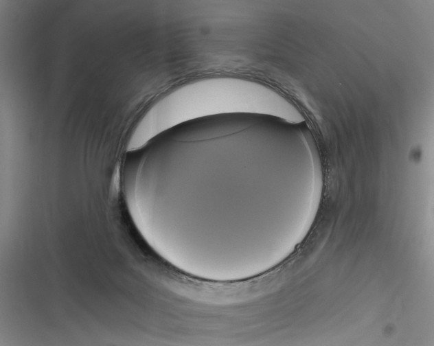X0000116850027201001121229