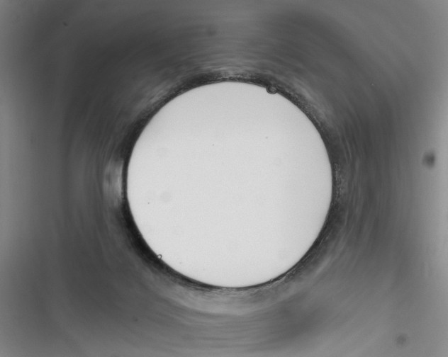 X0000116850028201001121229
