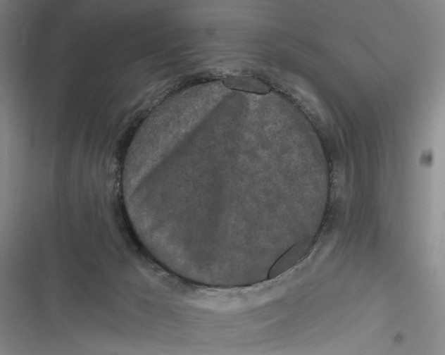 X0000116850029201001121229