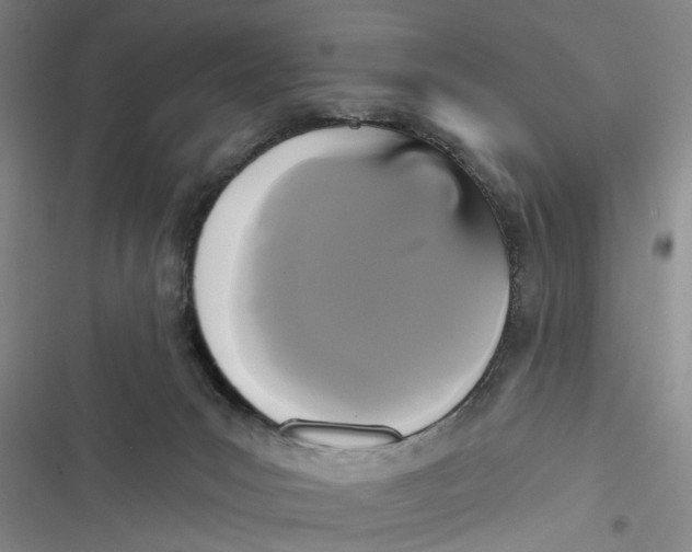 X0000116850031201001121229