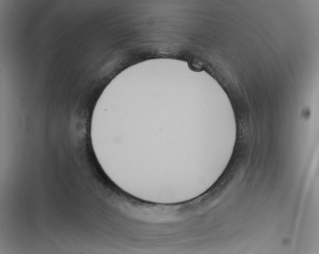 X0000116850032201001121229