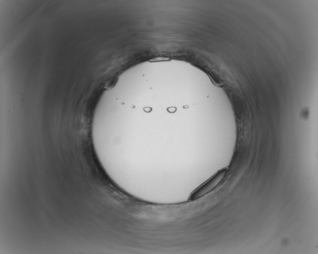 X0000116850033201001121229