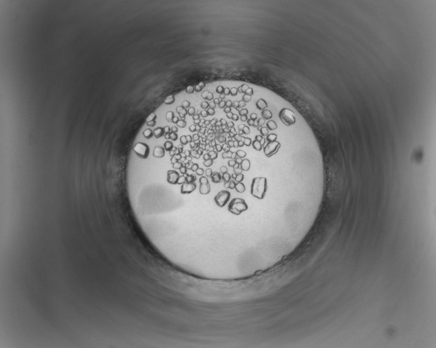 X0000116850034201001121229