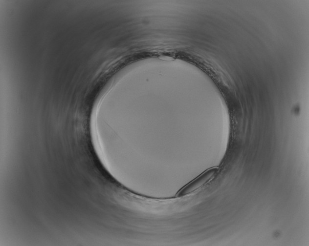 X0000116850035201001121229
