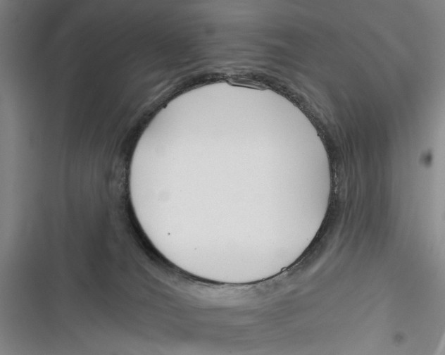X0000116850036201001121229