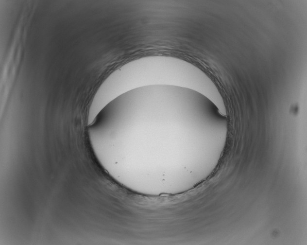 X0000116850037201001121229